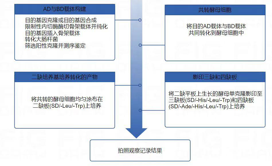图片3.png 图片3.png