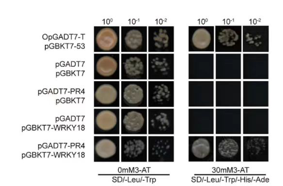 图片4.png 图片4.png