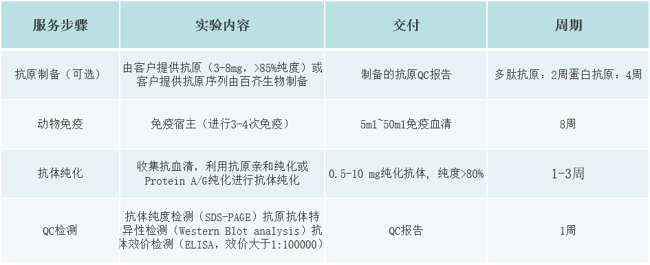 image (1).png image (1).png