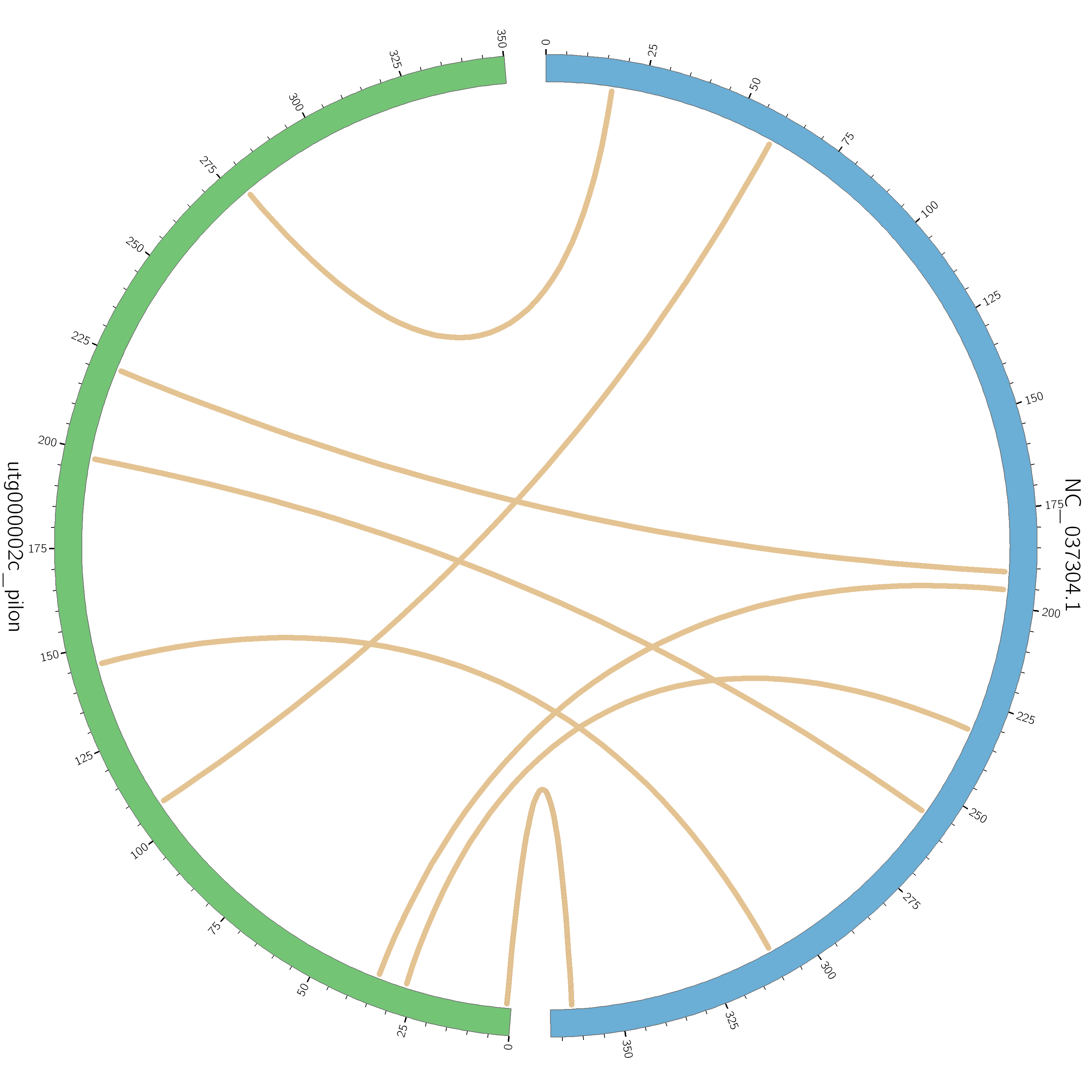 7-1_Arabidopsis_thaliana_vs_mt4.circos.png 7-1_Arabidopsis_thaliana_vs_mt4.circos.png